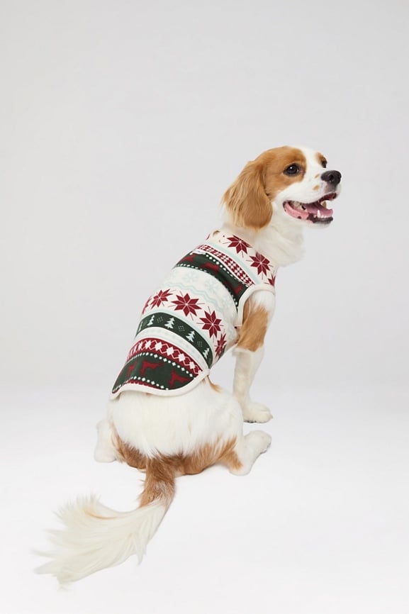 The Go-To Fleece Pet Onesie