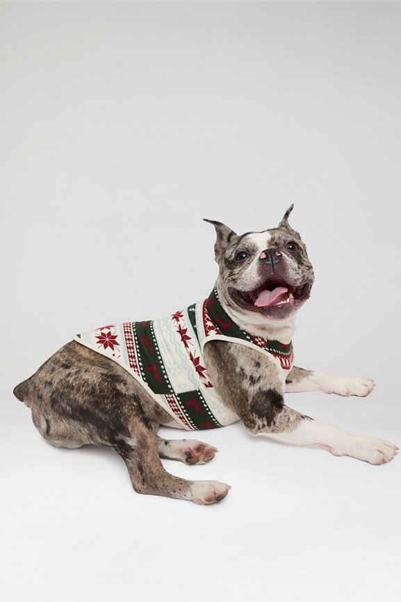 The Go-To Fleece Pet Onesie
