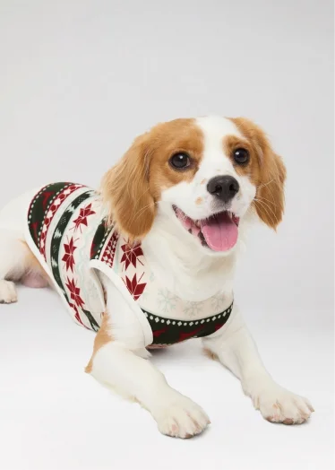 Pet Onesies