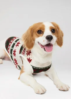 Pet Onesies