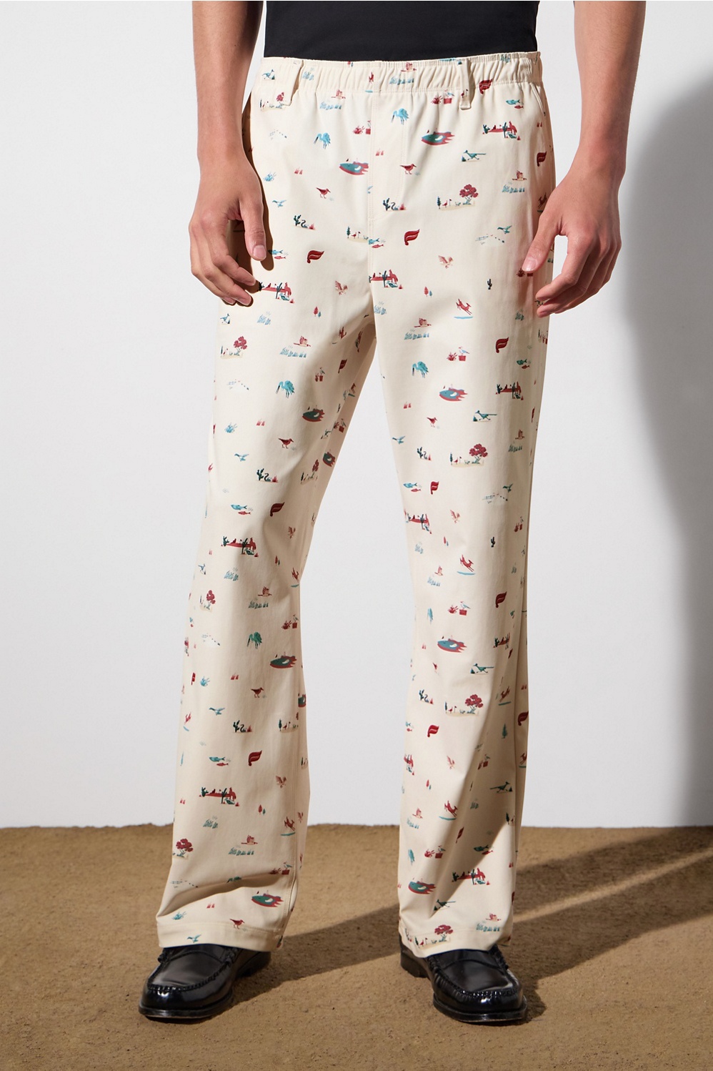 The Don Baggy Pull-On Pant